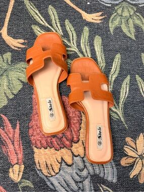 Shelln Women's Brown Slide Sandals